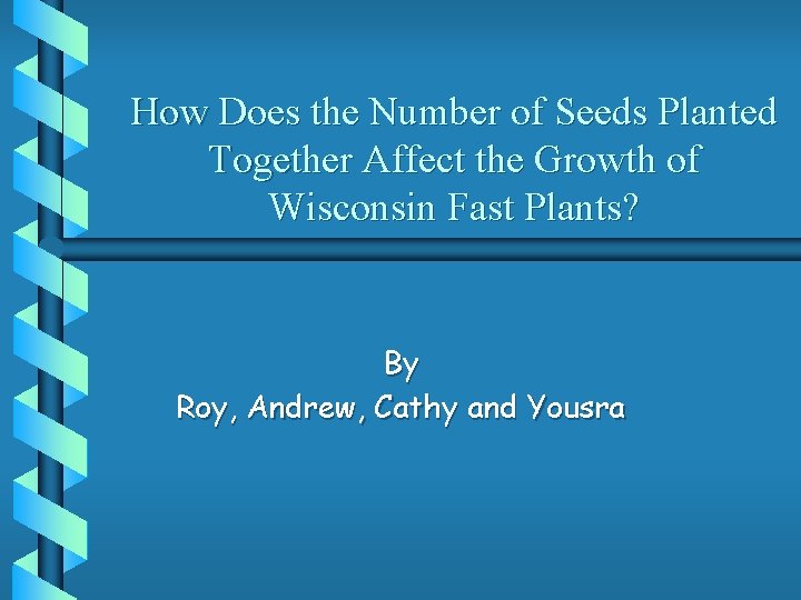 How Does the Number of Seeds Planted Together Affect the Growth of Wisconsin Fast