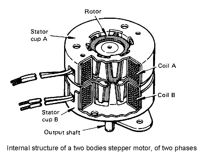 Internal structure of a two bodies stepper motor, of two phases 