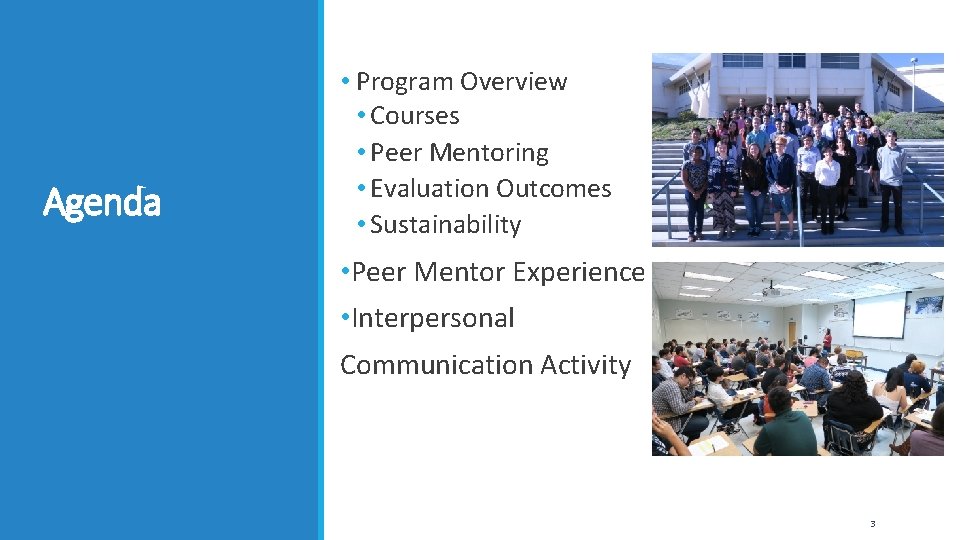Agenda • Program Overview • Courses • Peer Mentoring • Evaluation Outcomes • Sustainability Agenda • Program Overview • Courses • Peer Mentoring • Evaluation Outcomes • Sustainability