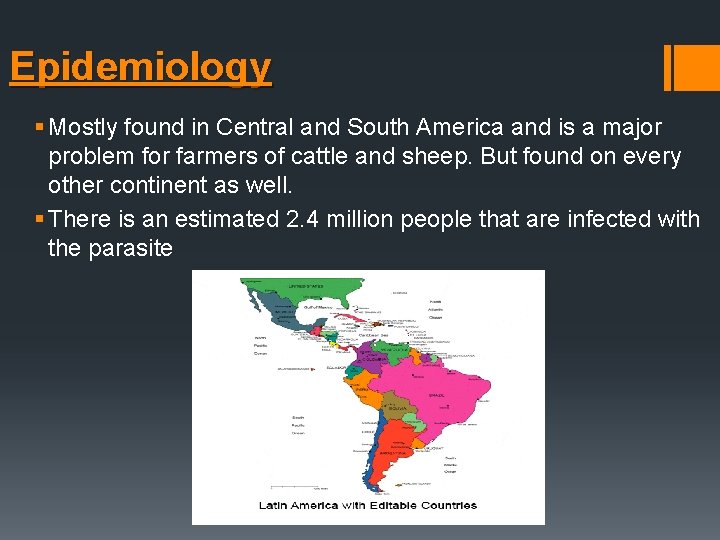 Epidemiology § Mostly found in Central and South America and is a major problem Epidemiology § Mostly found in Central and South America and is a major problem