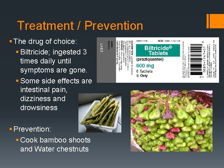 Treatment / Prevention § The drug of choice: § Biltricide; ingested 3 times daily Treatment / Prevention § The drug of choice: § Biltricide; ingested 3 times daily