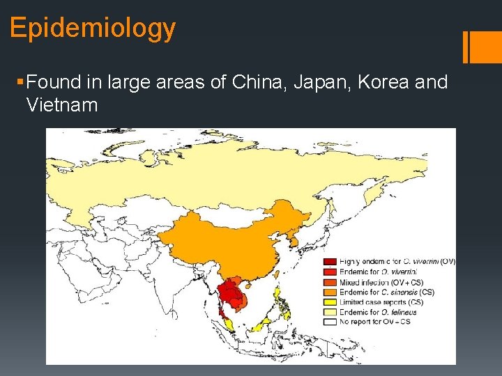 Epidemiology § Found in large areas of China, Japan, Korea and Vietnam Epidemiology § Found in large areas of China, Japan, Korea and Vietnam