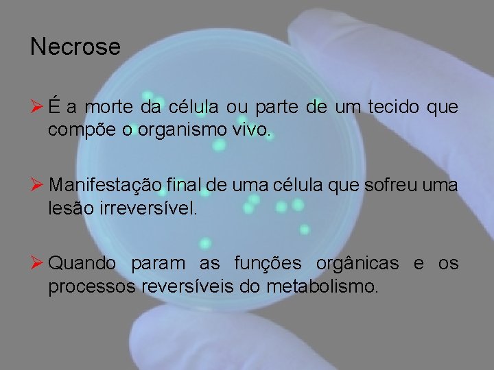 Necrose Ø É a morte da célula ou parte de um tecido que compõe