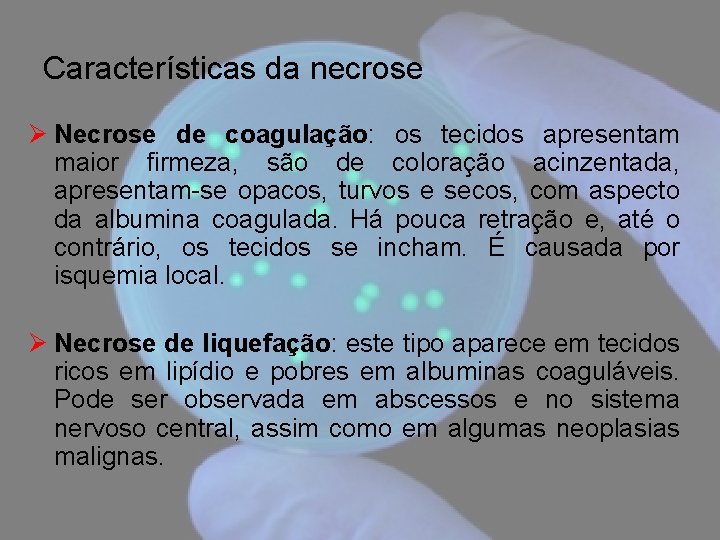 Características da necrose Ø Necrose de coagulação: os tecidos apresentam maior firmeza, são de