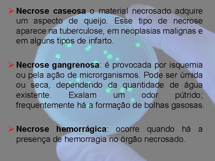 Ø Necrose caseosa o material necrosado adquire um aspecto de queijo. Esse tipo de