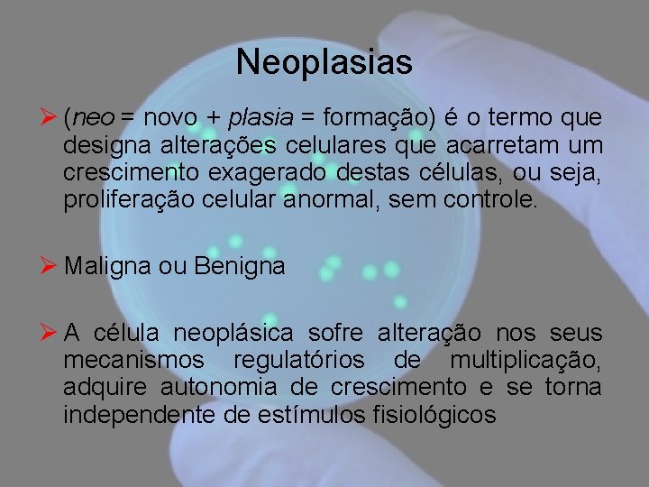 Neoplasias Ø (neo = novo + plasia = formação) é o termo que designa