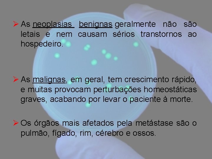 Ø As neoplasias benignas geralmente não são letais e nem causam sérios transtornos ao