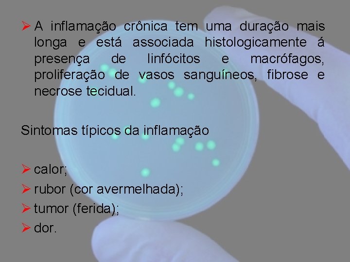 Ø A inflamação crônica tem uma duração mais longa e está associada histologicamente á