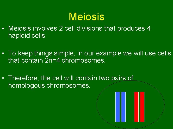 Meiosis • Meiosis involves 2 cell divisions that produces 4 haploid cells • To