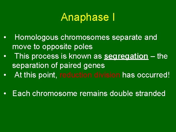 Anaphase I • Homologous chromosomes separate and move to opposite poles • This process