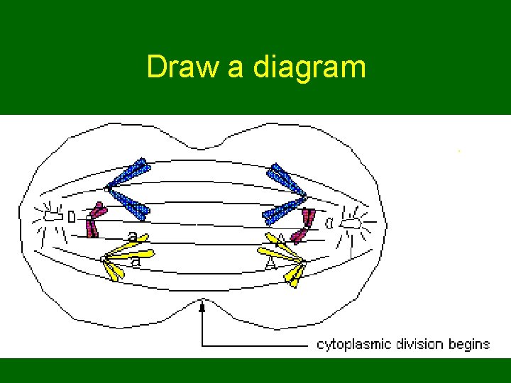 Draw a diagram 