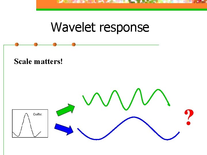 Wavelet response Scale matters! ? 