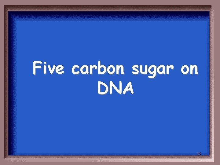 Five carbon sugar on DNA 19 