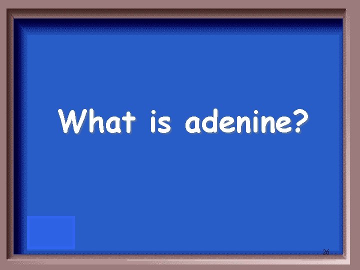 What is adenine? 26 