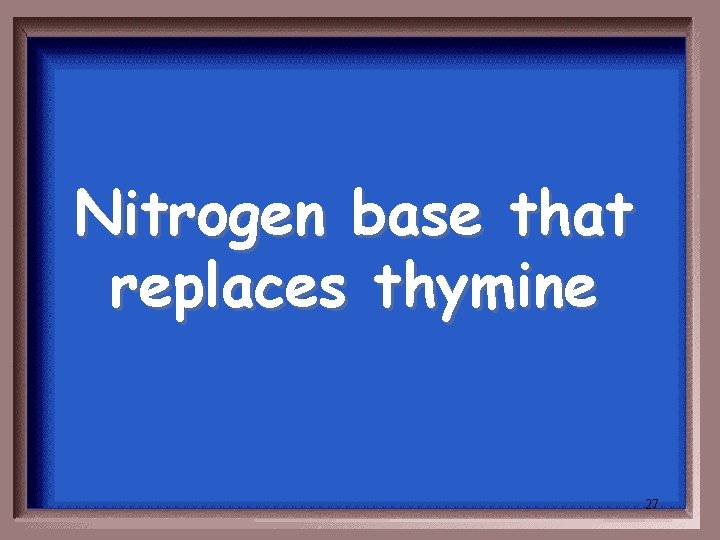 Nitrogen base that replaces thymine 27 