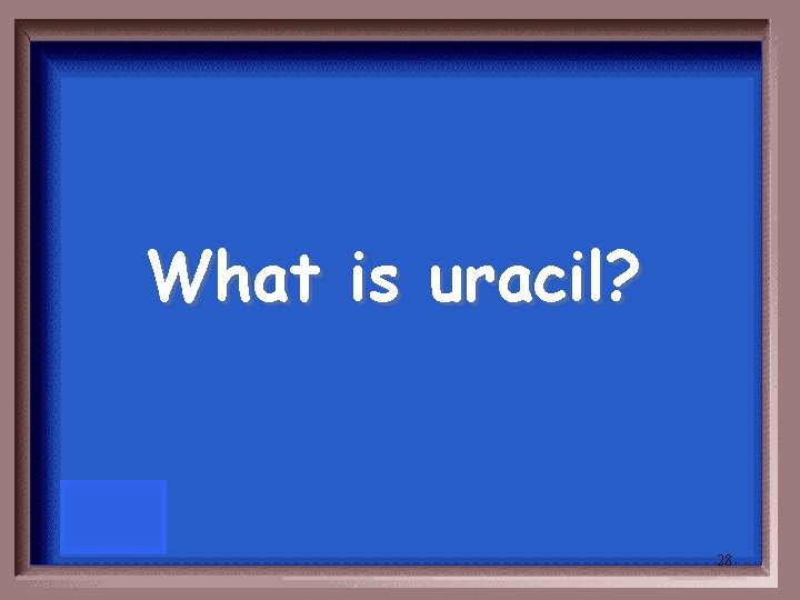 What is uracil? 28 