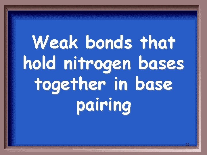 Weak bonds that hold nitrogen bases together in base pairing 29 