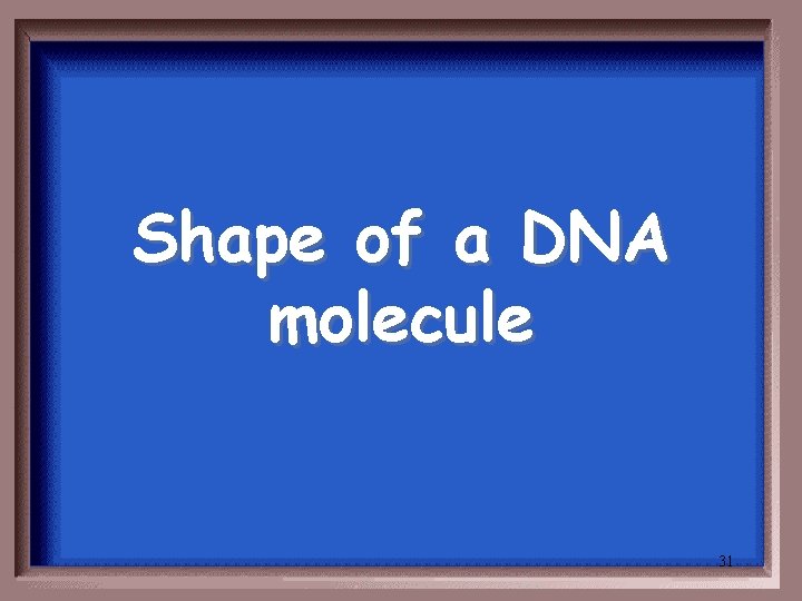 Shape of a DNA molecule 31 