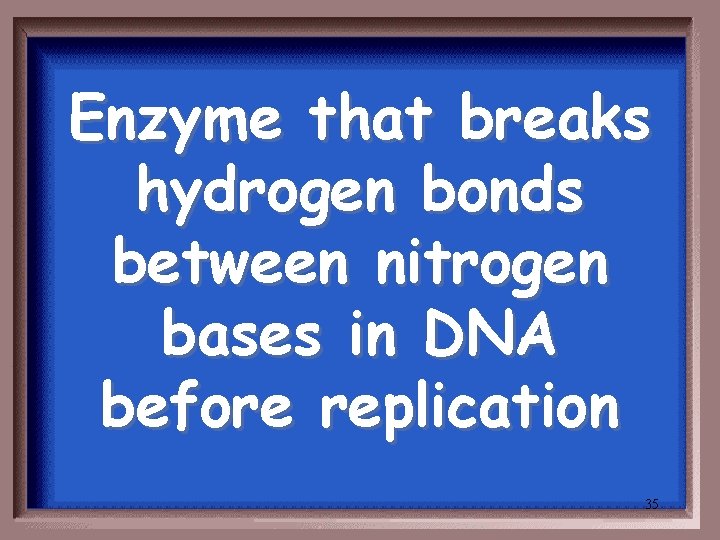 Enzyme that breaks hydrogen bonds between nitrogen bases in DNA before replication 35 