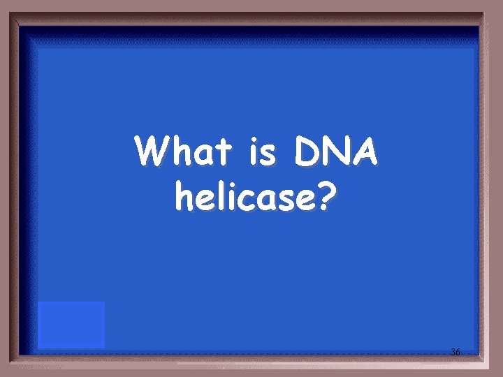 What is DNA helicase? 36 