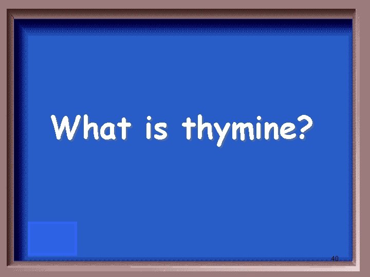 What is thymine? 40 