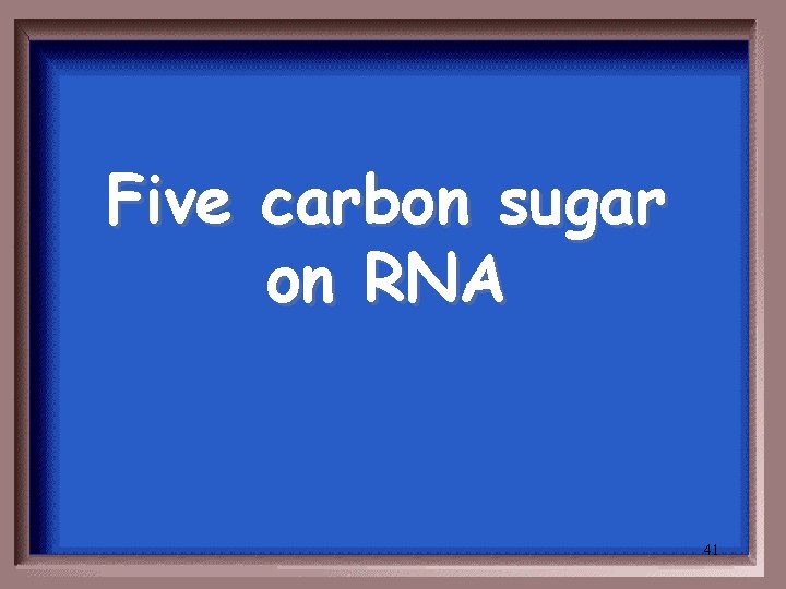 Five carbon sugar on RNA 41 