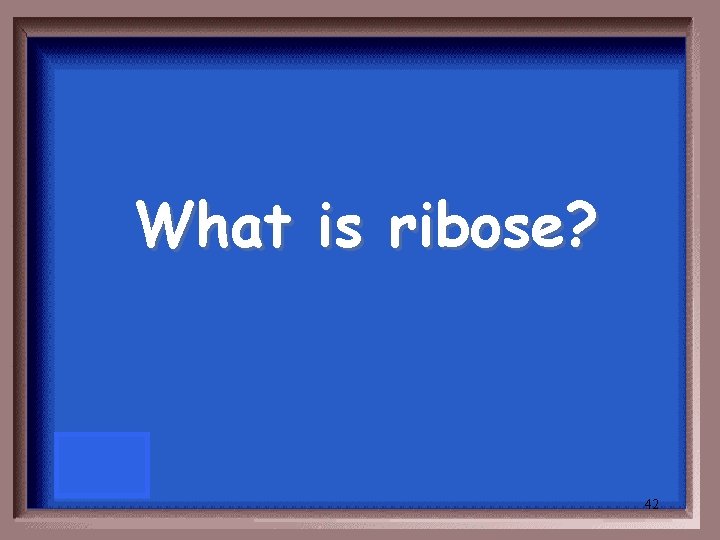 What is ribose? 42 