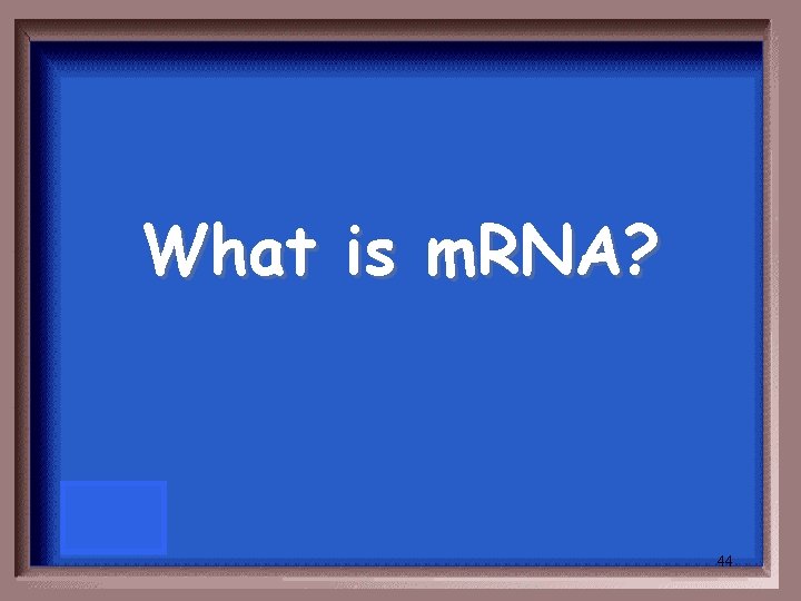 What is m. RNA? 44 