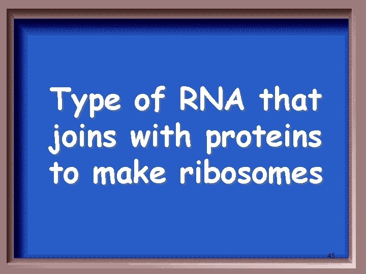 Type of RNA that joins with proteins to make ribosomes 45 