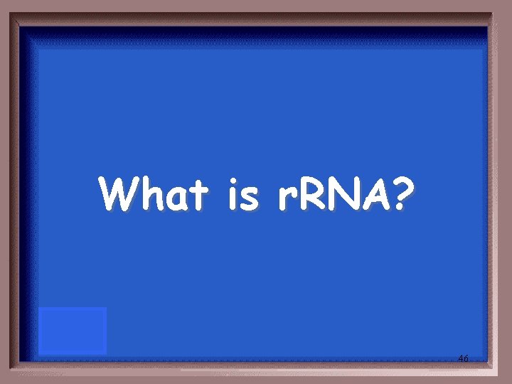 What is r. RNA? 46 