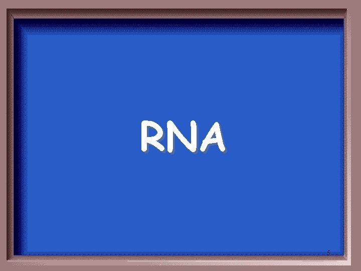 RNA 5 