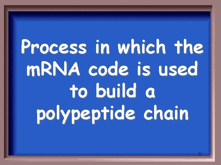 Process in which the m. RNA code is used to build a polypeptide chain