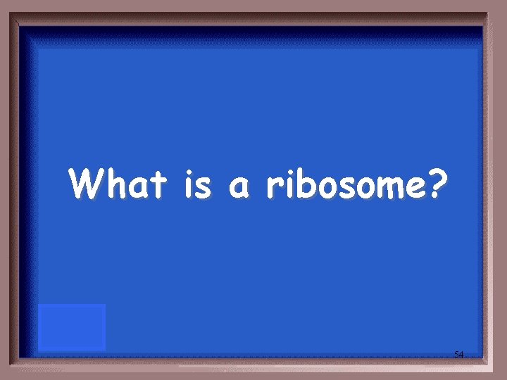 What is a ribosome? 54 