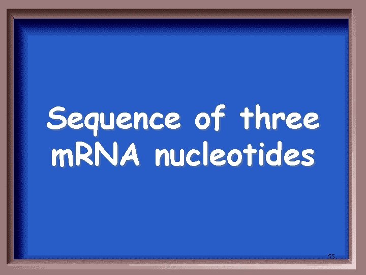 Sequence of three m. RNA nucleotides 55 