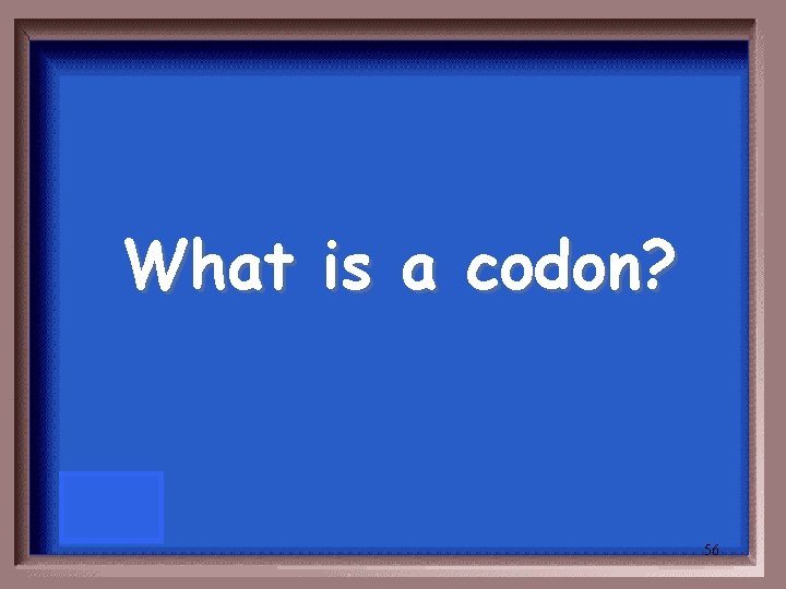 What is a codon? 56 