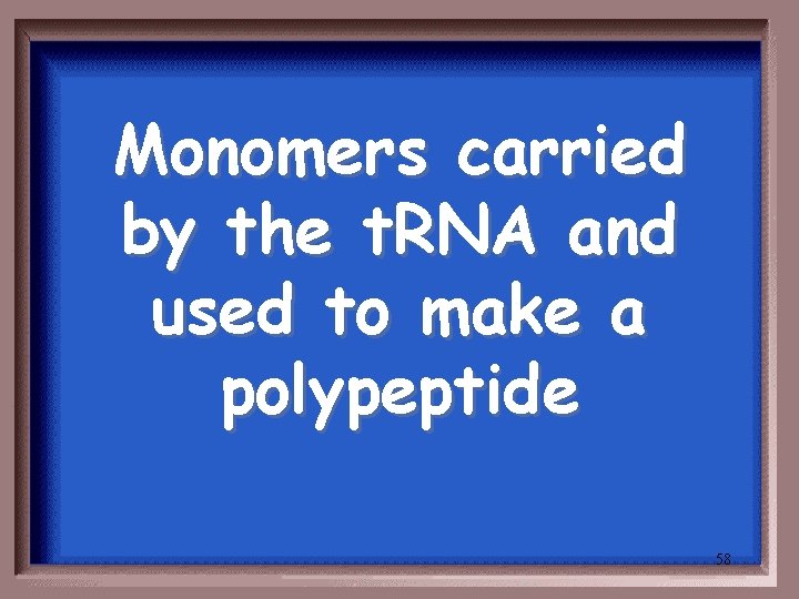 Monomers carried by the t. RNA and used to make a polypeptide 58 