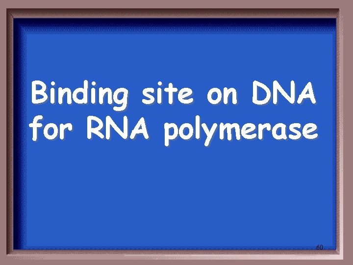 Binding site on DNA for RNA polymerase 60 