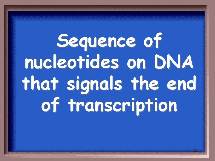 Sequence of nucleotides on DNA that signals the end of transcription 62 