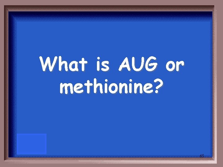 What is AUG or methionine? 65 