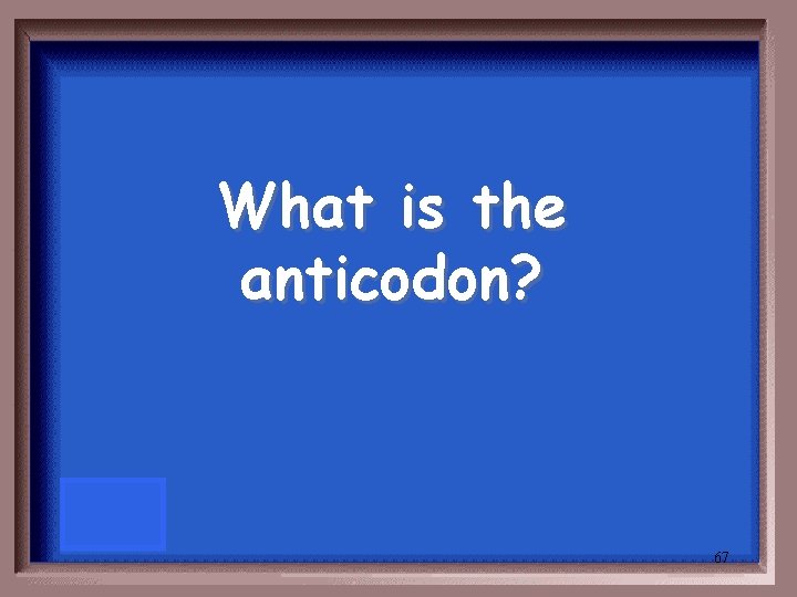 What is the anticodon? 67 