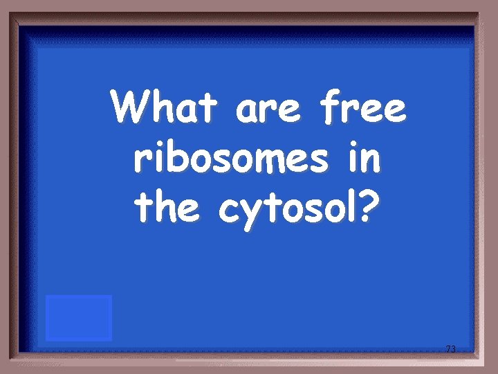 What are free ribosomes in the cytosol? 73 