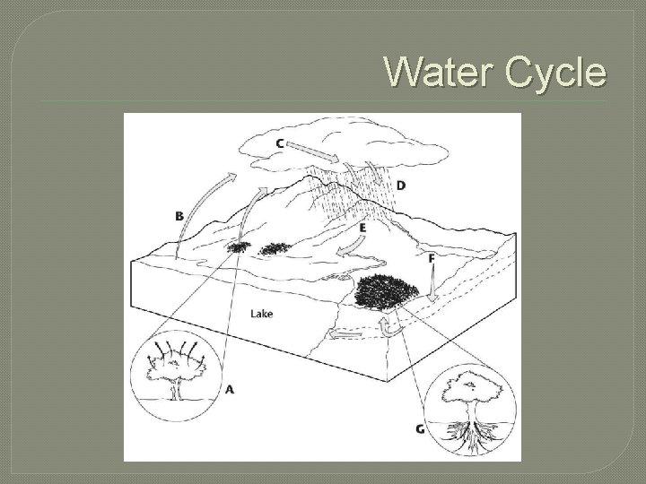 Water Cycle Water Cycle