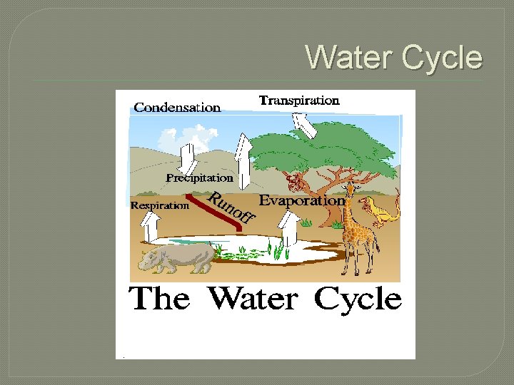 Water Cycle Water Cycle