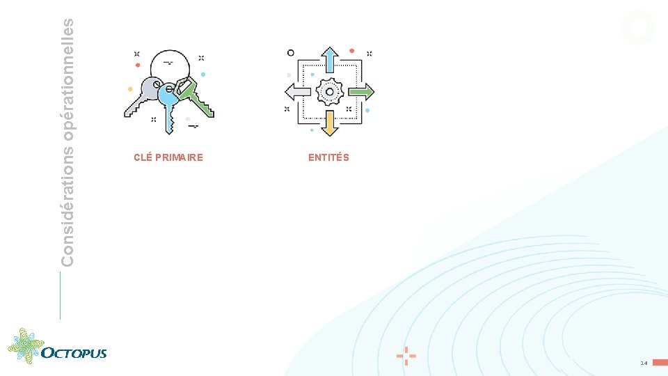 Considérations opérationnelles CLÉ PRIMAIRE ENTITÉS 14 