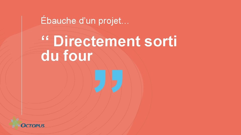 Ébauche d’un projet… ‘‘ Directement sorti du four ” 25 