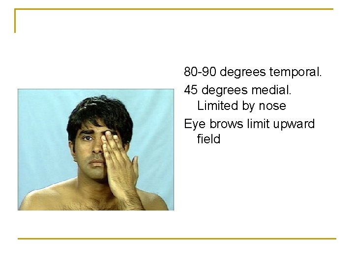 80 -90 degrees temporal. 45 degrees medial. Limited by nose Eye brows limit upward 80 -90 degrees temporal. 45 degrees medial. Limited by nose Eye brows limit upward