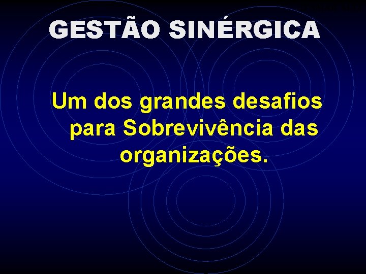 ITAMAR ALLI GESTÃO SINÉRGICA Um dos grandes desafios para Sobrevivência das organizações. 