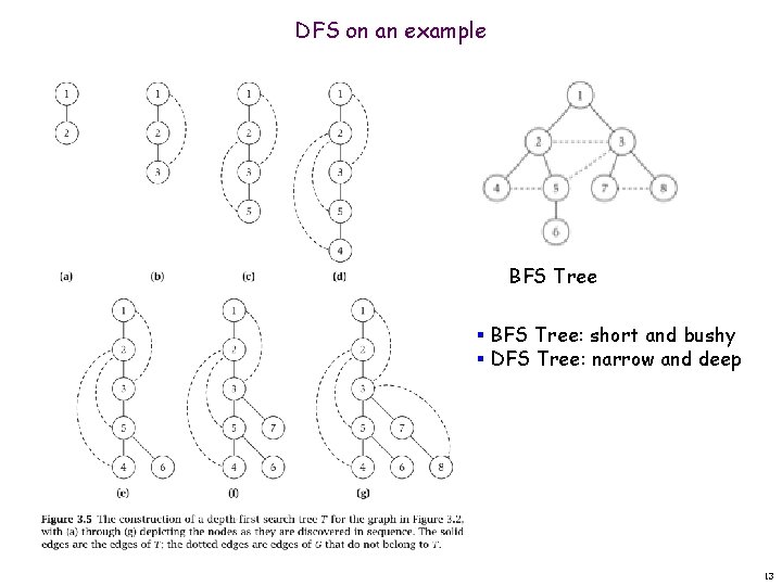 DFS on an example BFS Tree § BFS Tree: short and bushy § DFS