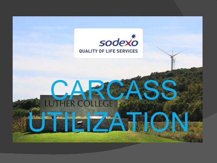 CARCASS UTILIZATION 