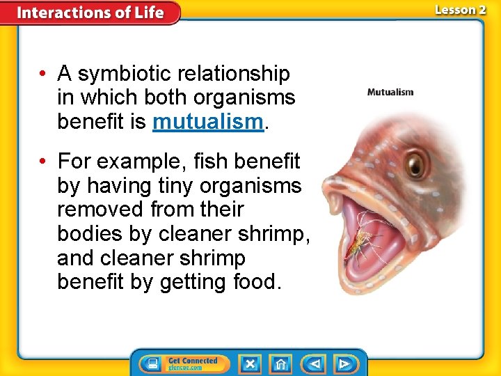  • A symbiotic relationship in which both organisms benefit is mutualism. • For